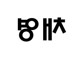 KPOP Twice(트와이스、トゥワイス) 채영 (ソン・チェヨン, チェヨン) 応援ボード、うちわ無料型紙、応援グッズ 左右反転