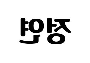 KPOP Twice(트와이스、トゥワイス) 정연 (ジョンヨン) コンサート用　応援ボード・うちわ　韓国語/ハングル文字型紙 左右反転
