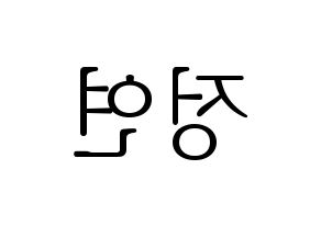 KPOP Twice(트와이스、トゥワイス) 정연 (ジョンヨン) 応援ボード・うちわ　韓国語/ハングル文字型紙 左右反転