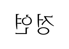 KPOP Twice(트와이스、トゥワイス) 정연 (ジョンヨン) 応援ボード・うちわ　韓国語/ハングル文字型紙 左右反転