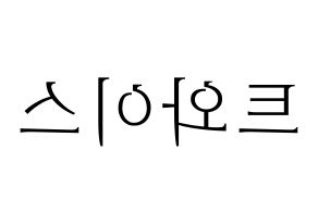 無料 KPOP歌手 Twice(트와이스、トゥワイス) ハングル応援ボード型紙、応援グッズ制作 左右反転