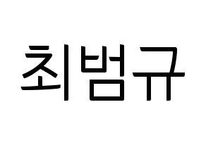 KPOP TXT(투모로우바이투게더、トゥモローバイトゥゲザー) 범규 (ボムギュ) コンサート用　応援ボード・うちわ　韓国語/ハングル文字型紙 通常