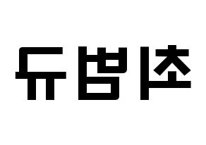 KPOP TXT(투모로우바이투게더、トゥモローバイトゥゲザー) 범규 (チェ・ボムギュ, ボムギュ) 応援ボード、うちわ無料型紙、応援グッズ 左右反転