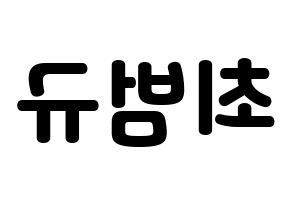 KPOP TXT(투모로우바이투게더、トゥモローバイトゥゲザー) 범규 (ボムギュ) 応援ボード・うちわ　韓国語/ハングル文字型紙 左右反転