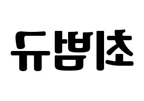 KPOP TXT(투모로우바이투게더、トゥモローバイトゥゲザー) 범규 (ボムギュ) コンサート用　応援ボード・うちわ　韓国語/ハングル文字型紙 左右反転