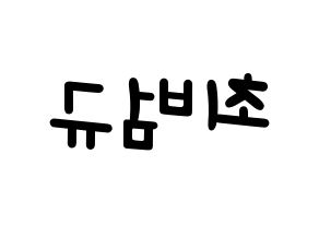 KPOP TXT(투모로우바이투게더、トゥモローバイトゥゲザー) 범규 (ボムギュ) 名前 応援ボード 作り方 左右反転