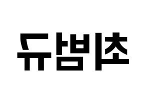KPOP TXT(투모로우바이투게더、トゥモローバイトゥゲザー) 범규 (ボムギュ) k-pop アイドル名前 ファンサボード 型紙 左右反転