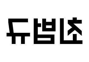 KPOP TXT(투모로우바이투게더、トゥモローバイトゥゲザー) 범규 (ボムギュ) 名前 応援ボード 作り方 左右反転