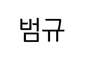 KPOP TXT(투모로우바이투게더、トゥモローバイトゥゲザー) 범규 (ボムギュ) コンサート用　応援ボード・うちわ　韓国語/ハングル文字型紙 通常