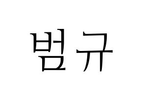 KPOP TXT(투모로우바이투게더、トゥモローバイトゥゲザー) 범규 (ボムギュ) 応援ボード・うちわ　韓国語/ハングル文字型紙 通常