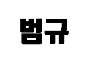 KPOP TXT(투모로우바이투게더、トゥモローバイトゥゲザー) 범규 (ボムギュ) コンサート用　応援ボード・うちわ　韓国語/ハングル文字型紙 通常