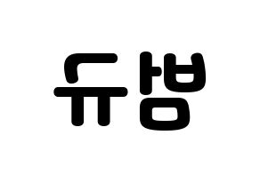 KPOP TXT(투모로우바이투게더、トゥモローバイトゥゲザー) 범규 (ボムギュ) 応援ボード・うちわ　韓国語/ハングル文字型紙 左右反転