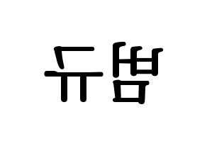 KPOP TXT(투모로우바이투게더、トゥモローバイトゥゲザー) 범규 (ボムギュ) プリント用応援ボード型紙、うちわ型紙　韓国語/ハングル文字型紙 左右反転