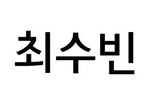 KPOP TXT(투모로우바이투게더、トゥモローバイトゥゲザー) 수빈 (チェ・スビン, スビン) 無料サイン会用、イベント会用応援ボード型紙 通常