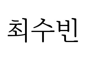 KPOP TXT(투모로우바이투게더、トゥモローバイトゥゲザー) 수빈 (スビン) 応援ボード・うちわ　韓国語/ハングル文字型紙 通常