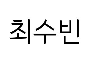 KPOP TXT(투모로우바이투게더、トゥモローバイトゥゲザー) 수빈 (スビン) コンサート用　応援ボード・うちわ　韓国語/ハングル文字型紙 通常