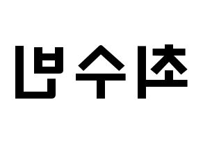 KPOP TXT(투모로우바이투게더、トゥモローバイトゥゲザー) 수빈 (チェ・スビン, スビン) 応援ボード、うちわ無料型紙、応援グッズ 左右反転