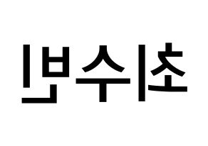 KPOP TXT(투모로우바이투게더、トゥモローバイトゥゲザー) 수빈 (チェ・スビン, スビン) 無料サイン会用、イベント会用応援ボード型紙 左右反転