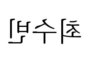 KPOP TXT(투모로우바이투게더、トゥモローバイトゥゲザー) 수빈 (スビン) 応援ボード・うちわ　韓国語/ハングル文字型紙 左右反転