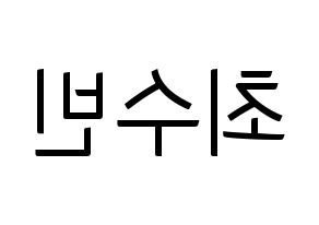 KPOP TXT(투모로우바이투게더、トゥモローバイトゥゲザー) 수빈 (スビン) コンサート用　応援ボード・うちわ　韓国語/ハングル文字型紙 左右反転