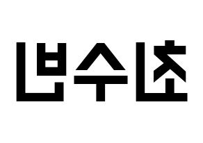 KPOP TXT(투모로우바이투게더、トゥモローバイトゥゲザー) 수빈 (スビン) 名前 応援ボード 作り方 左右反転