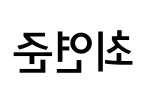 KPOP TXT(투모로우바이투게더、トゥモローバイトゥゲザー) 연준 (チェ・ヨンジュン, ヨンジュン) 無料サイン会用、イベント会用応援ボード型紙 左右反転