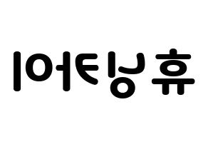 KPOP TXT(투모로우바이투게더、トゥモローバイトゥゲザー) 휴닝카이 (ヒュニンカイ) 応援ボード・うちわ　韓国語/ハングル文字型紙 左右反転