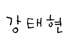 KPOP TXT(투모로우바이투게더、トゥモローバイトゥゲザー) 태현 (カン・テヒョン, テヒョン) 無料サイン会用、イベント会用応援ボード型紙 通常