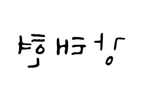 KPOP TXT(투모로우바이투게더、トゥモローバイトゥゲザー) 태현 (テヒョン) 応援ボード ハングル 型紙  左右反転