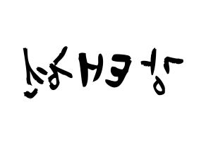 KPOP TXT(투모로우바이투게더、トゥモローバイトゥゲザー) 태현 (カン・テヒョン, テヒョン) 応援ボード、うちわ無料型紙、応援グッズ 左右反転