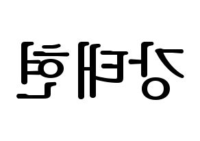 KPOP TXT(투모로우바이투게더、トゥモローバイトゥゲザー) 태현 (テヒョン) プリント用応援ボード型紙、うちわ型紙　韓国語/ハングル文字型紙 左右反転