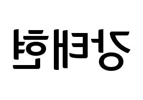 KPOP TXT(투모로우바이투게더、トゥモローバイトゥゲザー) 태현 (テヒョン) k-pop アイドル名前 ファンサボード 型紙 左右反転