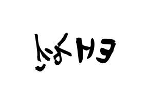 KPOP TXT(투모로우바이투게더、トゥモローバイトゥゲザー) 태현 (カン・テヒョン, テヒョン) 応援ボード、うちわ無料型紙、応援グッズ 左右反転