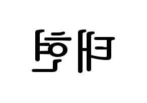 KPOP TXT(투모로우바이투게더、トゥモローバイトゥゲザー) 태현 (テヒョン) プリント用応援ボード型紙、うちわ型紙　韓国語/ハングル文字型紙 左右反転