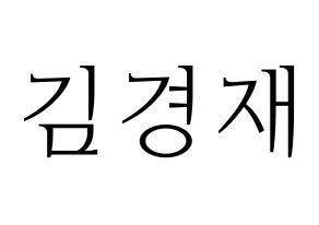 KPOP U-KISS(유키스、ユー・キス) 일라이 (イライ) 応援ボード・うちわ　韓国語/ハングル文字型紙 通常