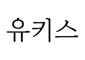 無料 KPOP歌手 U-KISS(유키스、ユー・キス) ハングル応援ボード型紙、応援グッズ制作 通常