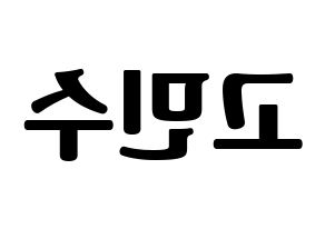 KPOP UP10TION(업텐션、アップテンション) 고결 (コギョル) コンサート用　応援ボード・うちわ　韓国語/ハングル文字型紙 左右反転