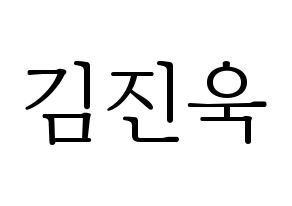 KPOP UP10TION(업텐션、アップテンション) 진후 (ジヌ) 応援ボード・うちわ　韓国語/ハングル文字型紙 通常