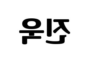 KPOP UP10TION(업텐션、アップテンション) 진후 (ジヌ) コンサート用　応援ボード・うちわ　韓国語/ハングル文字型紙 左右反転