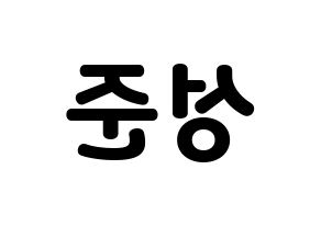 KPOP UP10TION(업텐션、アップテンション) 웨이 (ウェイ) 応援ボード・うちわ　韓国語/ハングル文字型紙 左右反転