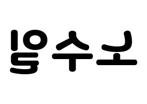 KPOP UP10TION(업텐션、アップテンション) 쿤 (クン) 応援ボード・うちわ　韓国語/ハングル文字型紙 左右反転