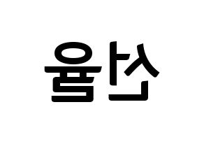 KPOP UP10TION(업텐션、アップテンション) 선율 (ソニュル) k-pop アイドル名前 ファンサボード 型紙 左右反転
