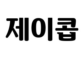 KPOP VAV(브이에이브이、ブイエイブイ) 제이콥 (ジェイコブ) コンサート用　応援ボード・うちわ　韓国語/ハングル文字型紙 通常