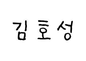 KPOP VAV(브이에이브이、ブイエイブイ) 로우 (ロウ) k-pop アイドル名前 ファンサボード 型紙 通常
