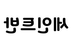 KPOP VAV(브이에이브이、ブイエイブイ) 세인트반 (セイントバン) 応援ボード・うちわ　韓国語/ハングル文字型紙 左右反転