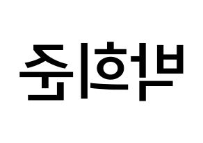 KPOP VAV(브이에이브이、ブイエイブイ) 지우 (パク・ヒジュン, ジウ) 無料サイン会用、イベント会用応援ボード型紙 左右反転