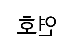 KPOP VERIVERY(베리베리、ベリーベリー) 연호 (ヨノ) コンサート用　応援ボード・うちわ　韓国語/ハングル文字型紙 左右反転