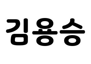 KPOP VERIVERY(베리베리、ベリーベリー) 용승 (ヨンスン) 応援ボード・うちわ　韓国語/ハングル文字型紙 通常