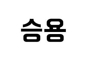 KPOP VERIVERY(베리베리、ベリーベリー) 용승 (ヨンスン) k-pop アイドル名前 ファンサボード 型紙 左右反転