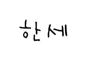 KPOP VICTON(빅톤、ビクトン) 도한세 (ド・ハンセ, ド・ハンセ) 無料サイン会用、イベント会用応援ボード型紙 通常